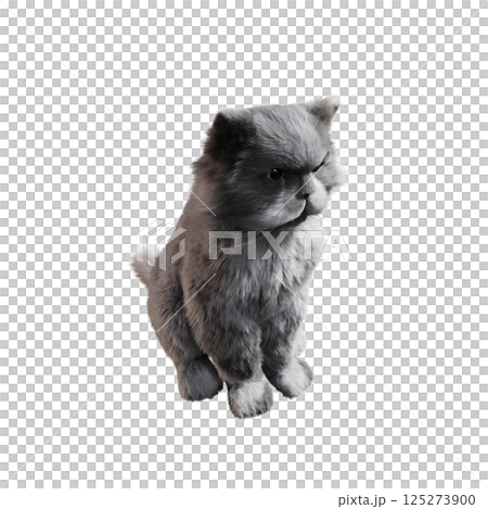 cat isolate on a transparent background, 3d illustration, cg render 125273900