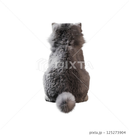 cat isolate on a transparent background, 3d illustration, cg render 125273904