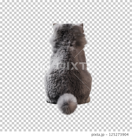 cat isolate on a transparent background, 3d illustration, cg render 125273904