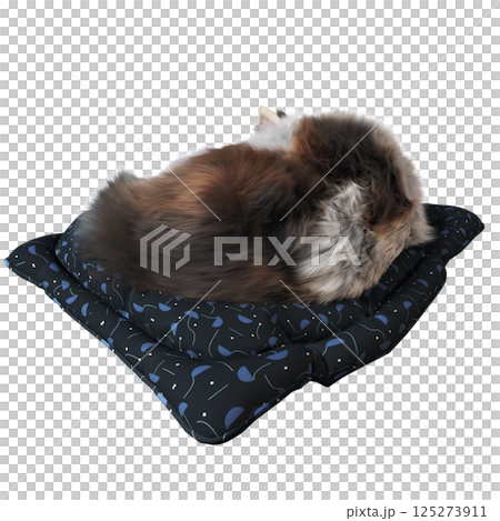 cat isolate on a transparent background, 3d illustration, cg render 125273911