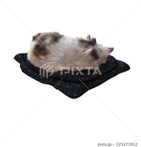 cat isolate on a transparent background, 3d illustration, cg render cat isolate on a transparent background, 3d illustration, cg render 125273912
