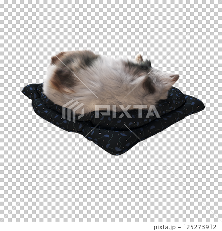 cat isolate on a transparent background, 3d illustration, cg render cat isolate on a transparent background, 3d illustration, cg render 125273912