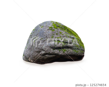 moss growing on stone isolated on white background moss growing on stone isolated on white background 125274654