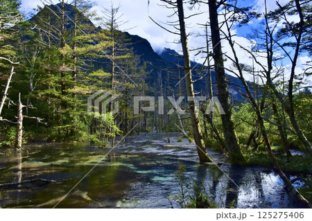 長野県松本市　上高地の風景　岳沢湿原 125275406
