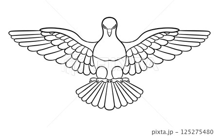 Holy spirit, or Holy Ghost as a dove. Third divine Person of the Trinity, a triune god manifested as God the Father, the Son, and the Holy Spirit, each being God. Isolated black and white illustration Holy spirit, or Holy Ghost as a dove. Third divine Person of the Trinity, a triune god manifested as God the Father, the Son, and the Holy Spirit, each being God. Isolated black and white illustration 125275480