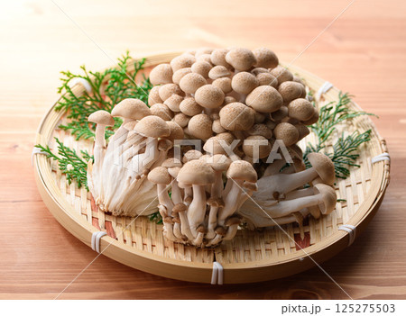 しめじ しめじ 125275503