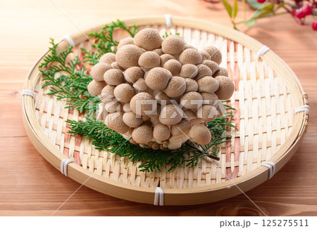 しめじ しめじ 125275511