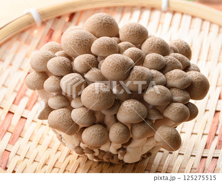 しめじ しめじ 125275515