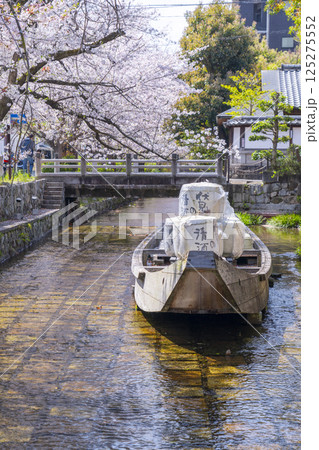桜に包まれる高瀬川一之船入跡 桜に包まれる高瀬川一之船入跡 125275552