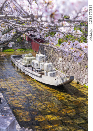 桜に包まれる高瀬川一之船入跡 125275555