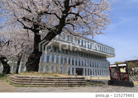 桜と高崎市立中央図書館（高崎市総合保健センター） 125275601
