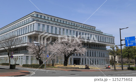 桜と高崎市立中央図書館（高崎市総合保健センター） 125275602