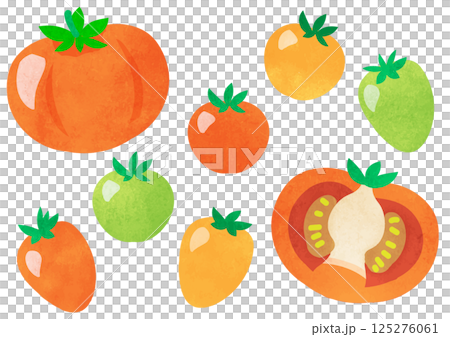 シンプルで可愛い、カラフルなトマトのセット 125276061