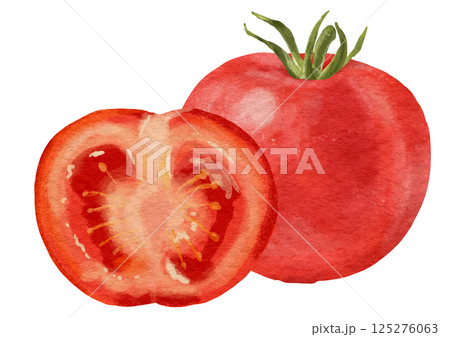 リアルな赤いトマト1個と半分 125276063