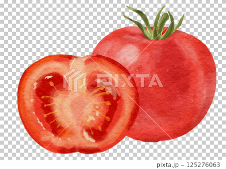 リアルな赤いトマト1個と半分 125276063