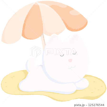 Summer with My Little White Dog 125276544