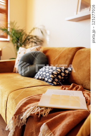 A stylish sofa made of soft orange fabric with contrasting pillows and a plaid. Close-up of an open book on the couch. A warm and cozy atmosphere at home. 125277016