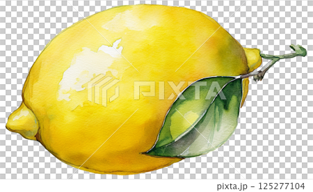 用水彩畫的檸檬插圖素材 用水彩畫的檸檬插圖素材 125277104