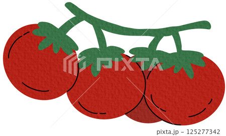 Red cherry tomatoes on a branch vector illustration. Cartoon ripe small tomatoes. Natural diet organic nutrition, healthy farm product isolated on white. Agriculture plant	 125277342