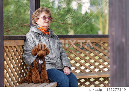 Elderly woman sitting quietly on wooden bench with dog, wearing warm jacket and glasses, reflecting outdoors in peaceful park, companionship and solitude in later life 125277349