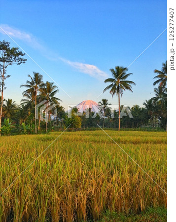 Mount Semeru Mount Semeru 125277407