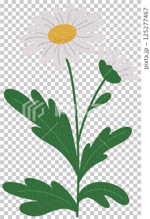 vector, flower, leaf 125277467