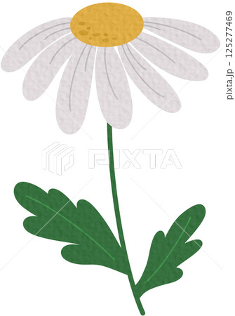Spring flower icon vector. Flower illustration sign. Garden symbol. Greenhouse logo on white background. Spring flower icon vector. Flower illustration sign. Garden symbol. Greenhouse logo on white background. 125277469