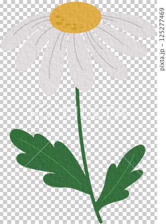 Spring flower icon vector. Flower illustration sign. Garden symbol. Greenhouse logo on white background. Spring flower icon vector. Flower illustration sign. Garden symbol. Greenhouse logo on white background. 125277469