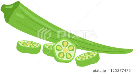 Whole green okra and slices isolated on white background. Abelmoschus esculentus, okro, ochro, bhindi or lady finger icon. Vector vegetables illustration	 125277476