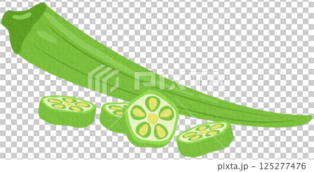 Whole green okra and slices isolated on white background. Abelmoschus esculentus, okro, ochro, bhindi or lady finger icon. Vector vegetables illustration	 125277476