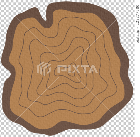 Tree Ring Slice Vector Illustration On white background.	 125277580