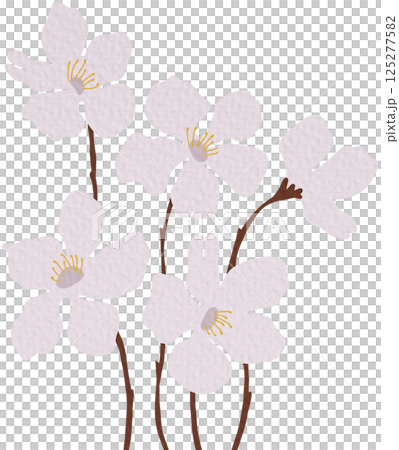 vector, flower, blossom 125277582