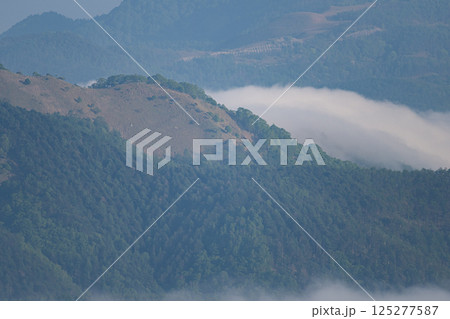 霧が湧く霧ヶ峰の写真素材 [125277587] - PIXTA