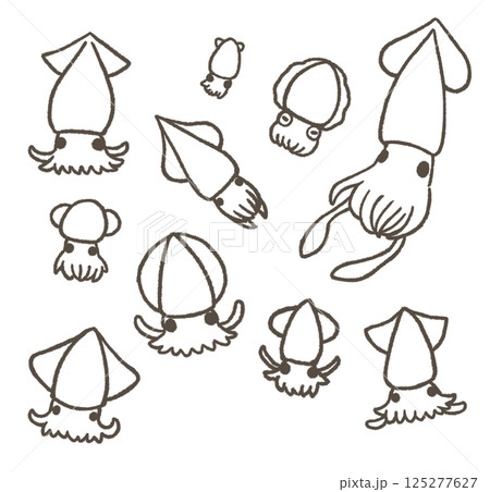 いろいろなイカのセット　線画 125277627
