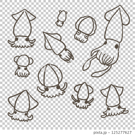 いろいろなイカのセット　線画 125277627