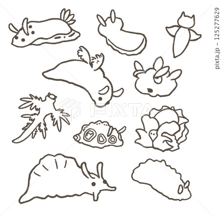 いろいろなウミウシのセット 線画 いろいろなウミウシのセット 線画 125277629