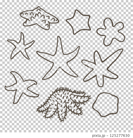 Set of various starfish line drawings Set of various starfish line drawings 125277630