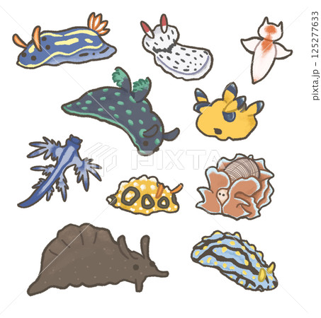 いろいろなウミウシのセット いろいろなウミウシのセット 125277633