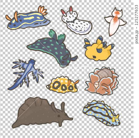 いろいろなウミウシのセット いろいろなウミウシのセット 125277633
