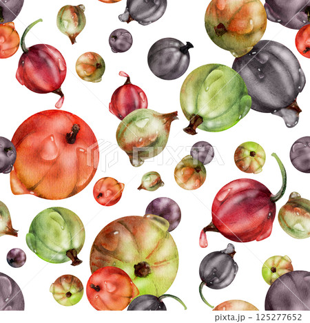 Currant gooseberry in water dew drops, garden berry huckleberry juneberry casseille jostaberry, watercolor hand drawn. Isolated seamless pattern tile. Background wallpaper, packaging cover design Currant gooseberry in water dew drops, garden berry huckleberry juneberry casseille jostaberry, watercolor hand drawn. Isolated seamless pattern tile. Background wallpaper, packaging cover design 125277652