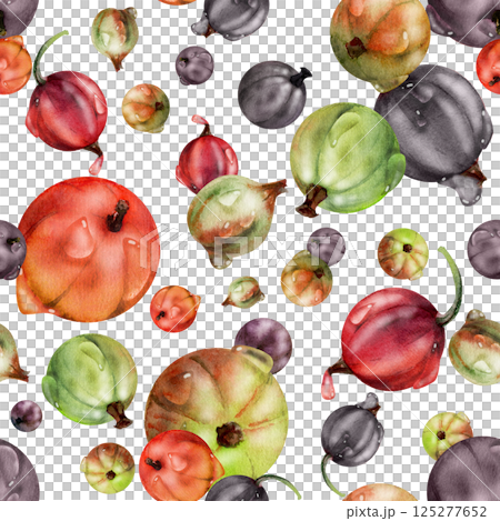 Currant gooseberry in water dew drops, garden berry huckleberry juneberry casseille jostaberry, watercolor hand drawn. Isolated seamless pattern tile. Background wallpaper, packaging cover design Currant gooseberry in water dew drops, garden berry huckleberry juneberry casseille jostaberry, watercolor hand drawn. Isolated seamless pattern tile. Background wallpaper, packaging cover design 125277652