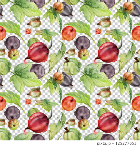 Currant gooseberry flying in water dew drops with green leaves, ripe garden berry casseille juneberry jostaberry. Isolated seamless pattern hand drawn in watercolor. Fabric, wrapping paper, wallpaper 125277653