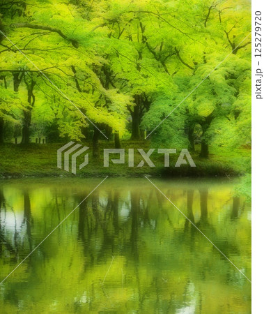 なからぎの森 125279720