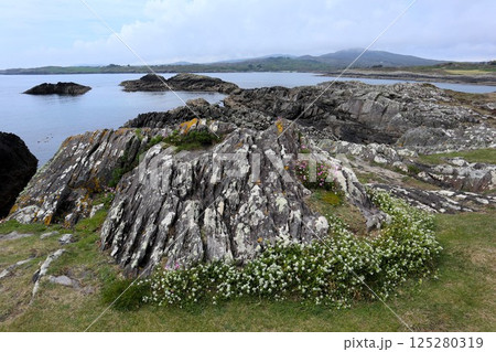 アイルランド・ミゼン半島の風景 125280319