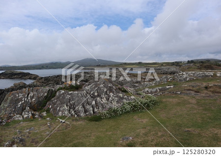 アイルランド・ミゼン半島の風景 125280320