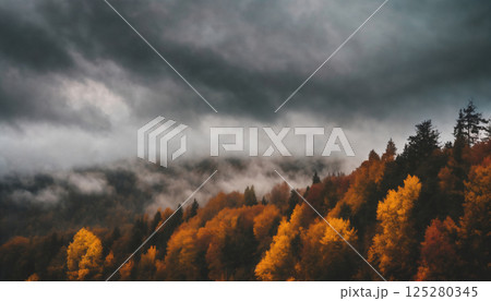 dramatic sky and forest in the autumn season, beautiful nature, rainy weather, cloudy 125280345