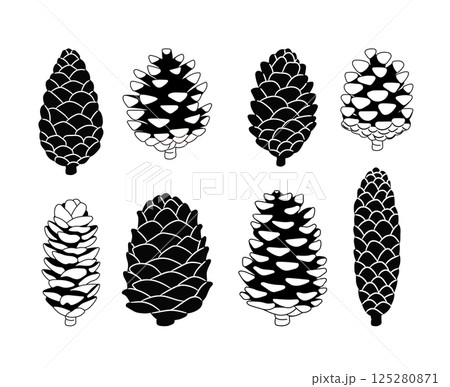 Fir or pine cones as plant part vector set on white background 125280871