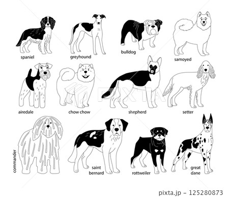 Dogs of different breeds in black and white sketch style 125280873