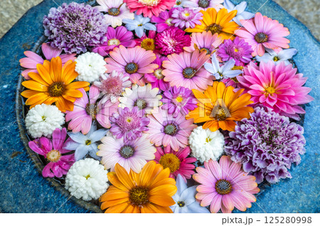 和心 花手水のおもてなし 和心 花手水のおもてなし 125280998