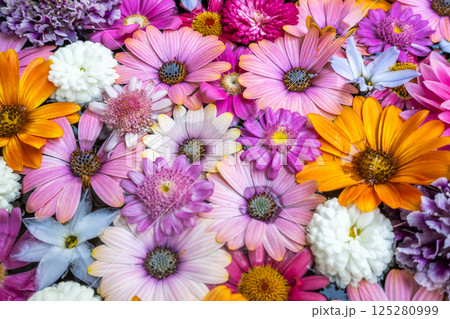 和心　花手水のおもてなし 125280999